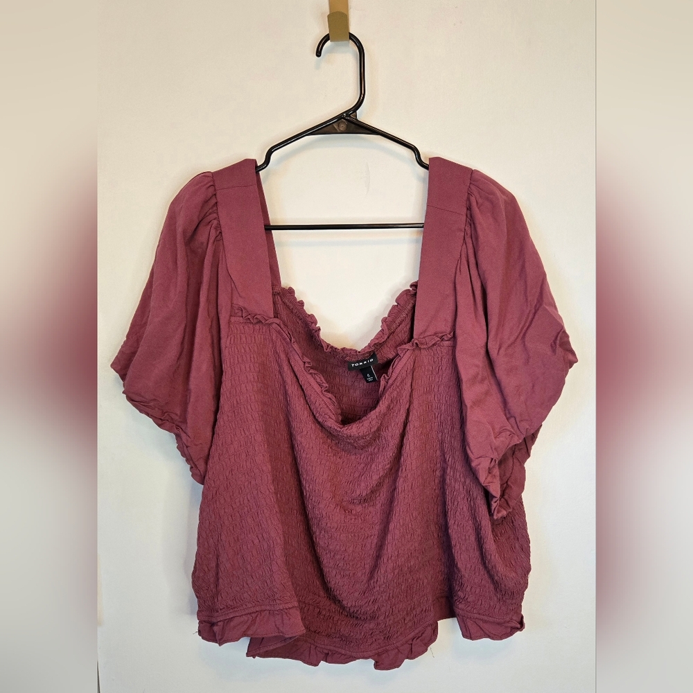 289. Torrid Women's Mauve Top
